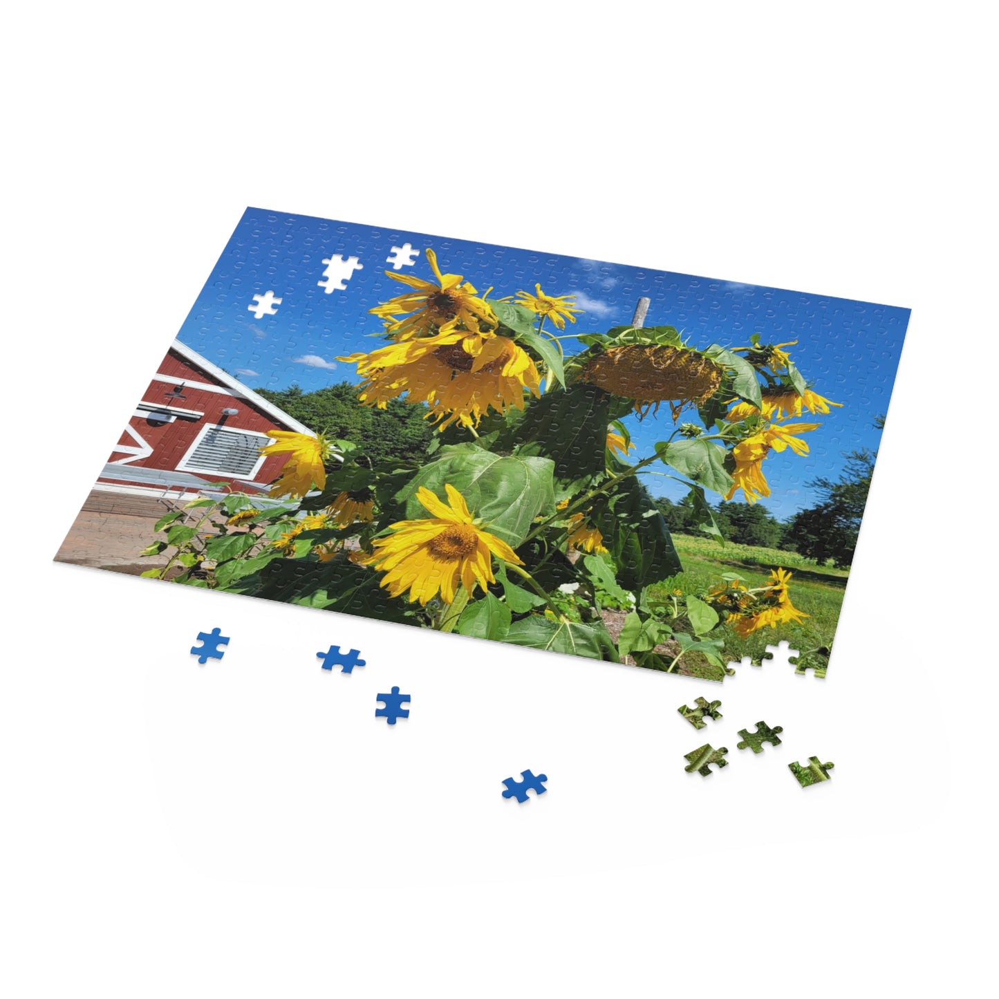 Sunflower and barn puzzle