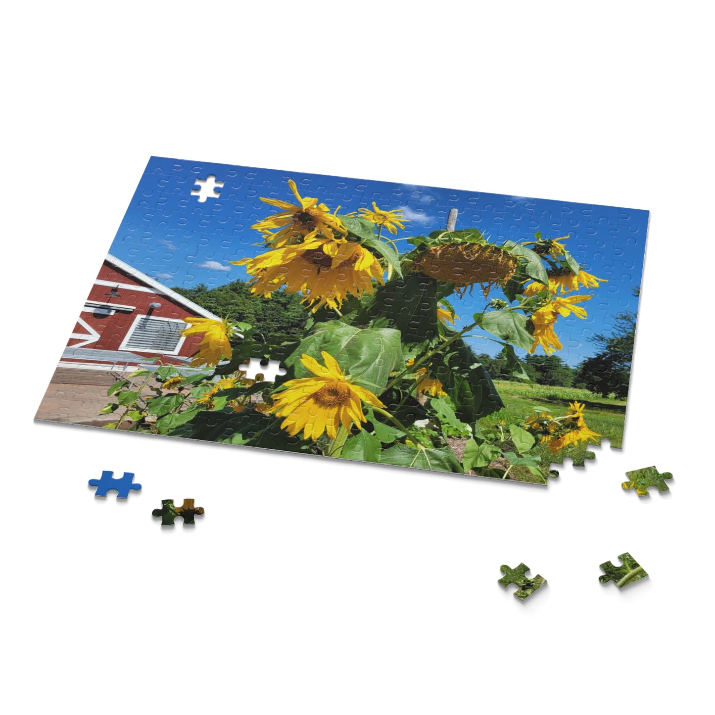 Sunflower and barn puzzle