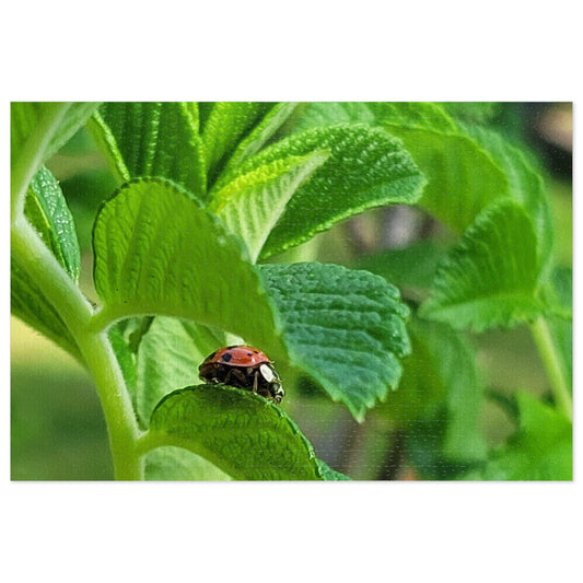 Ladybug on Green Leaves Jigsaw Puzzle (Tin Box)