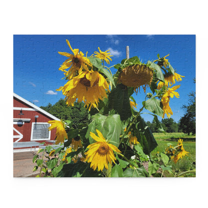 Sunflower and barn puzzle