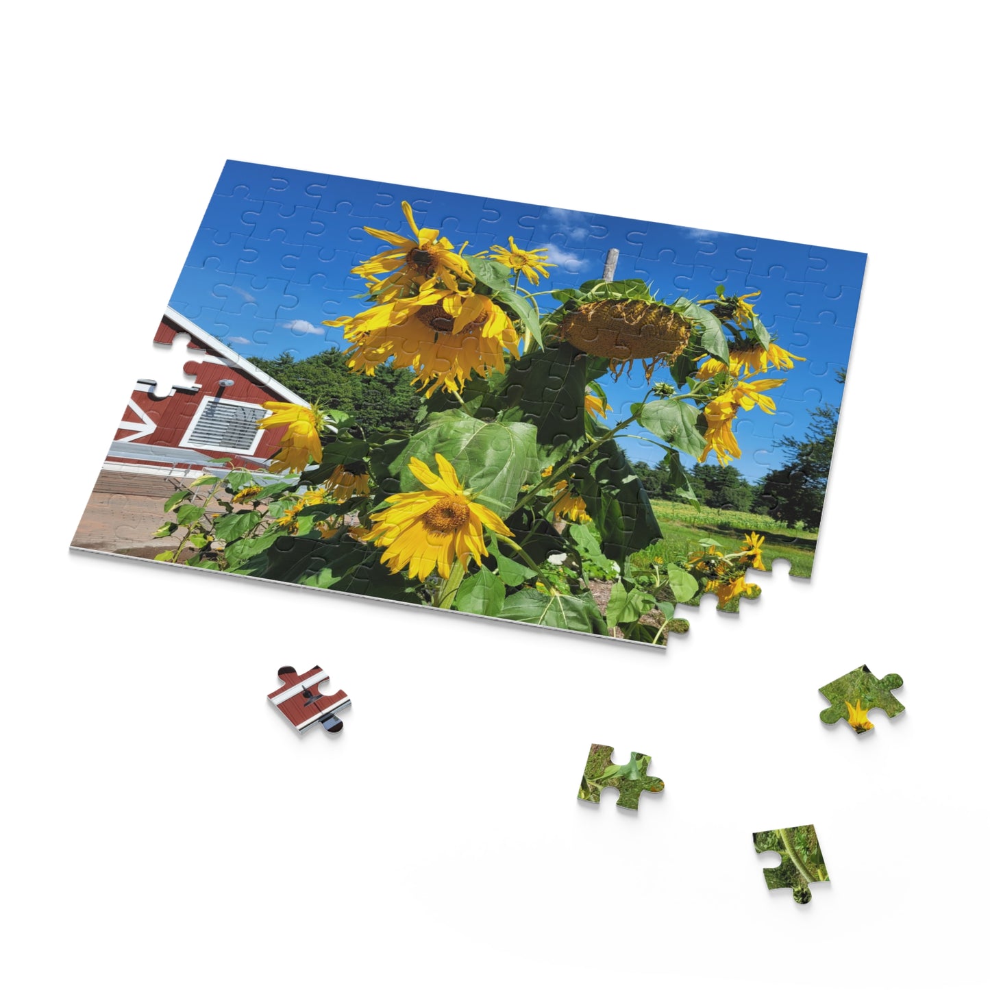 Sunflower and barn puzzle