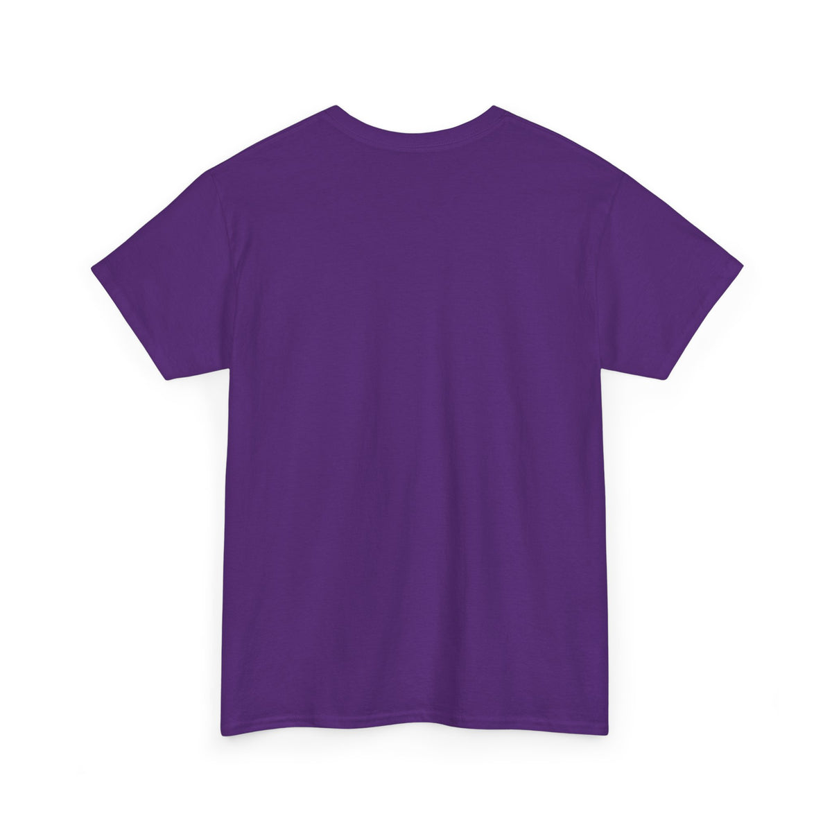 "Be Kind...of Feral" Raccoon Graphic Tee