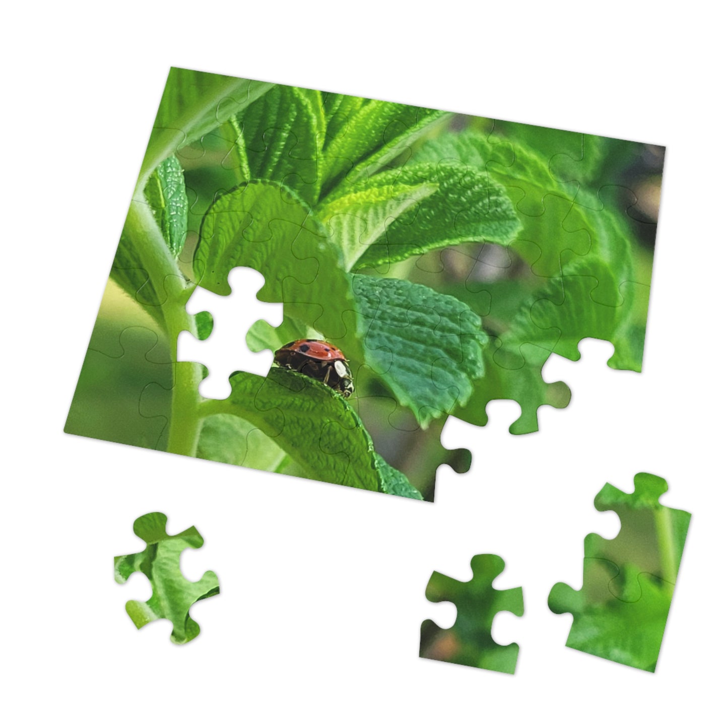 Ladybug on Green Leaves Jigsaw Puzzle (Tin Box)