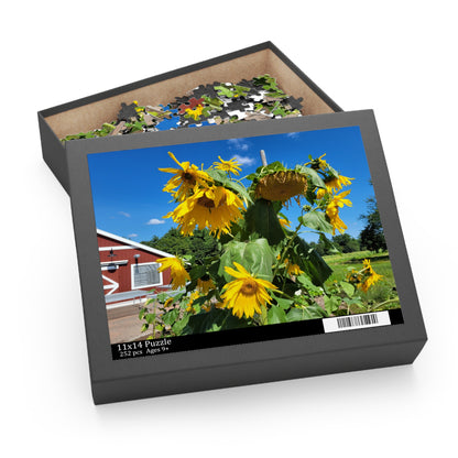 Sunflower and barn puzzle