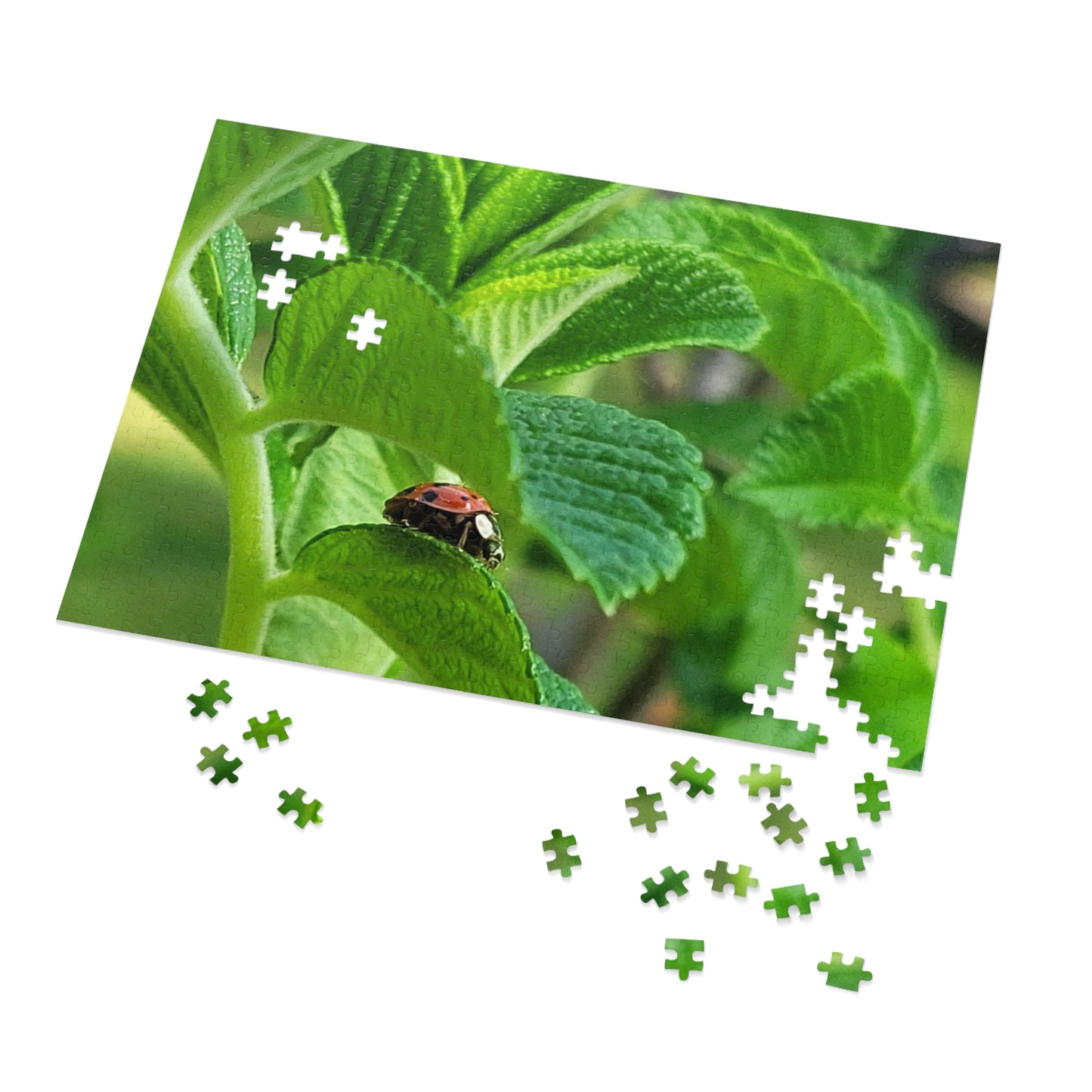 Ladybug on Green Leaves Jigsaw Puzzle (Tin Box)