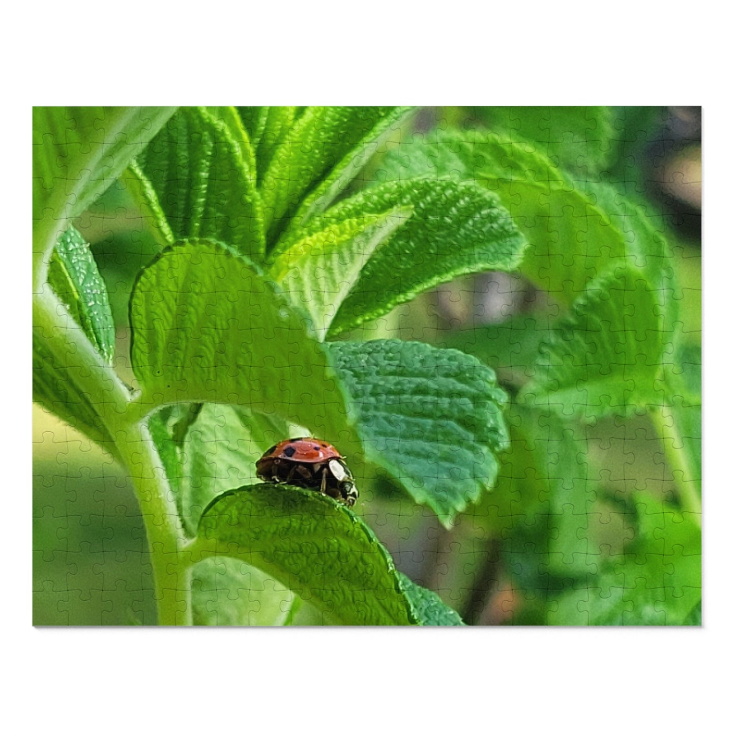 Ladybug on Green Leaves Jigsaw Puzzle (Tin Box)