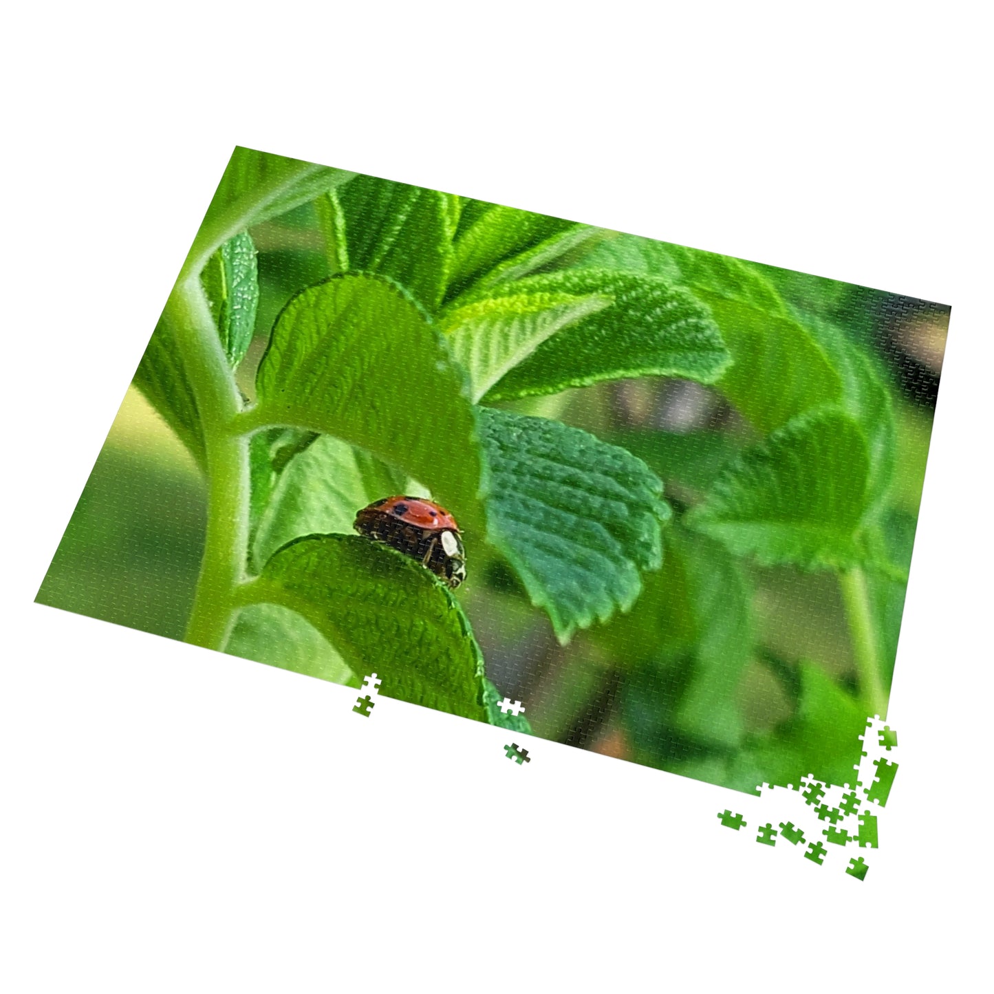 Ladybug on Green Leaves Jigsaw Puzzle (Tin Box)