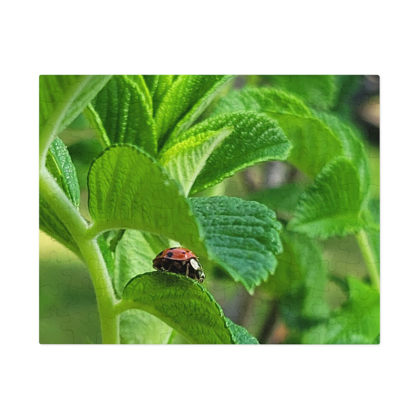 Ladybug on Green Leaves Jigsaw Puzzle (Tin Box)